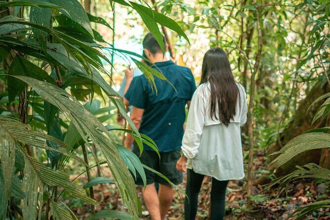 Arenal Natural Hiking Trails - Key Points