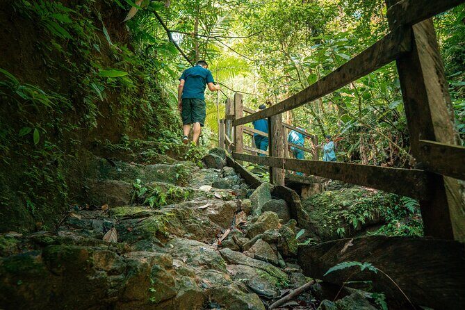 Arenal Natural Hiking Trails - A Closer Look at Arenal Natural Hiking Trails