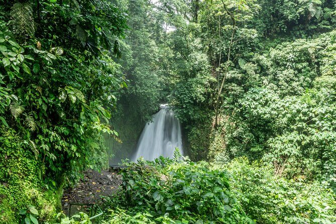 Arenal Observatory Lodge & Trails - Who Should Consider This Tour?