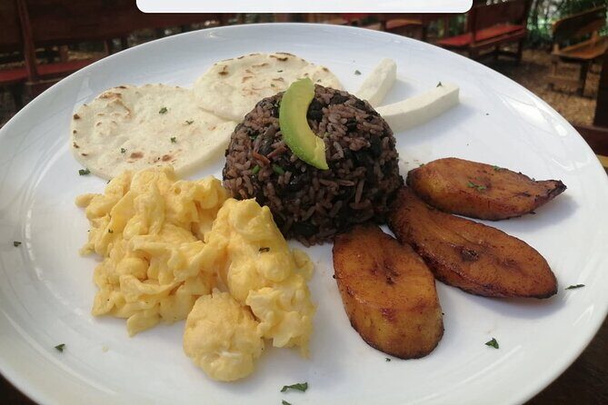 Arenal Volcano and Hot Springs Day Trip from Guanacaste - Who Should Consider This Tour?