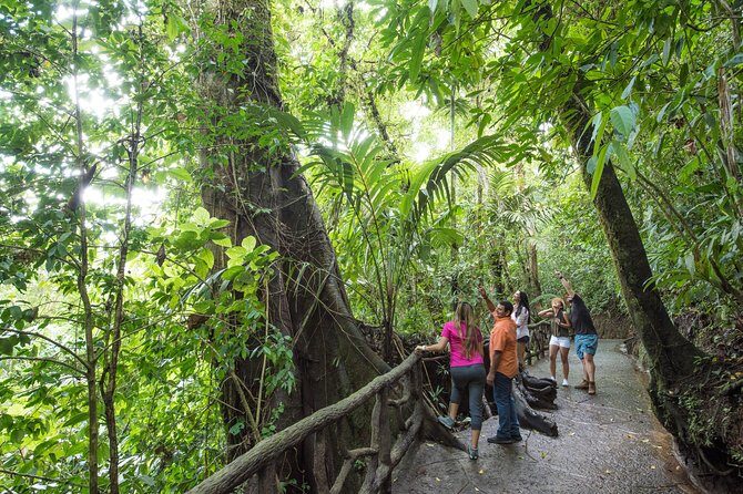 Arenal volcano, hanging bridges and sloth encounter tour. - Exploring Costa Rica’s Iconic Volcano and Forests