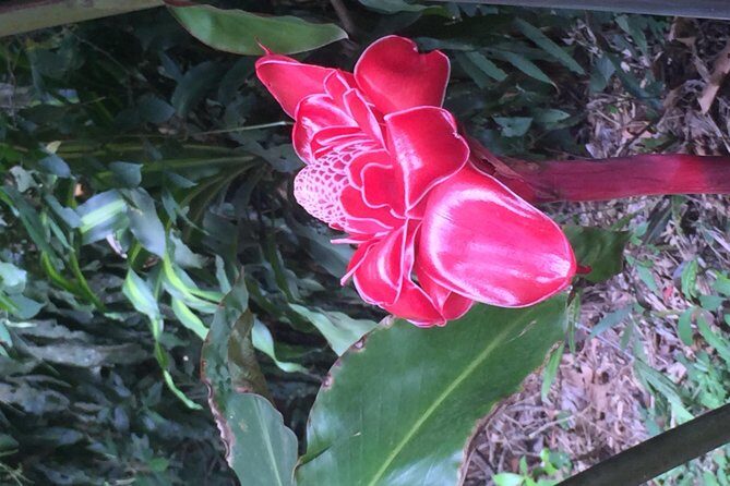 Arenal Volcano Hiking trail Observatory& Hot Spring+ lunch buffet - Soaking in the Hot Springs — The Perfect Finish