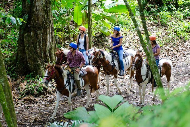 Arenal Volcano Horseback Riding Hot springs included - Authentic Encounters and Authenticity
