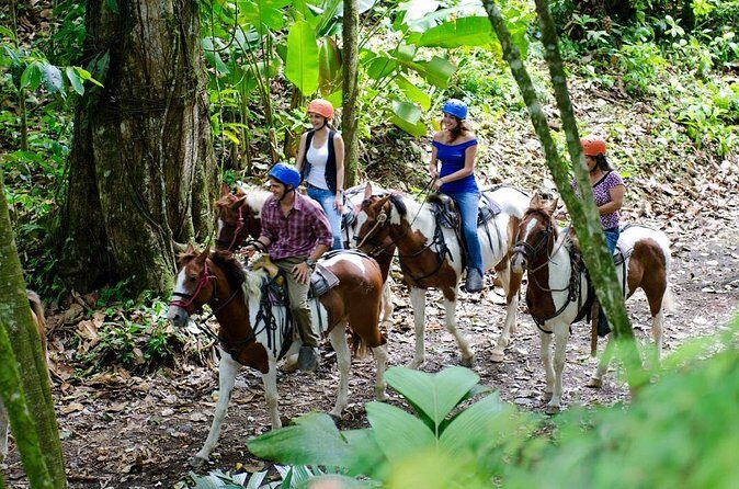 Arenal Volcano Horseback Riding Hot springs included - Post-Ride Relaxation: Hot Springs