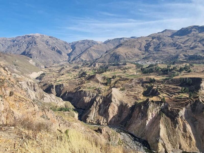 Arequipa: 1-Day Colca Canyon + Thermal Baths Tour - The Sum Up