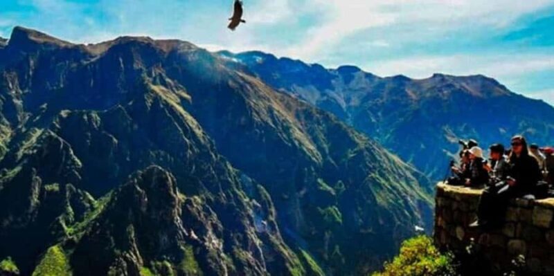 Arequipa: Colca Canyon 1-Day Guided Tour | Condor Flight | - Local Flavors and Optional Activities