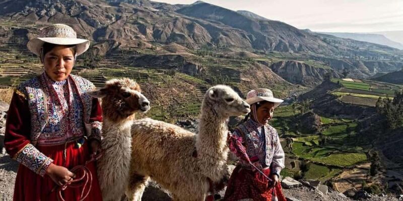 Arequipa: Excursion Colca Canyon + Chacapi Thermal Baths - FAQ