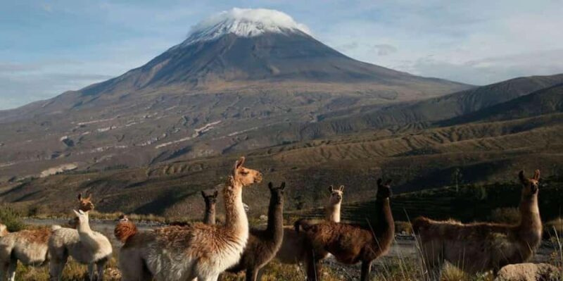 Arequipa: Excursion to Misti Volcano |2-days| - An Honest Look at the Misti Volcano Excursion