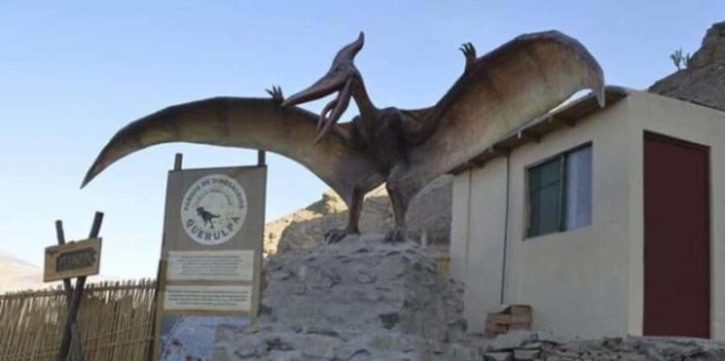 Arequipa: Excursion to Querulpa and Chancaray - Arequipa: Excursion to Querulpa and Chancaray — A Deep Dive into Ancient Footprints and Healing Waters