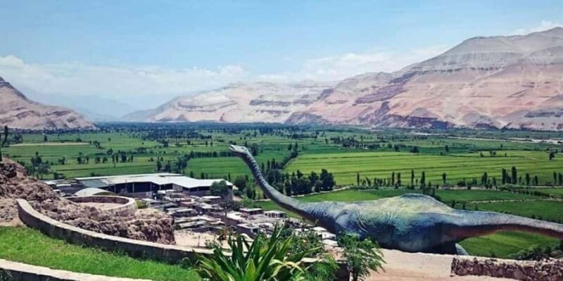 Arequipa: Excursion to Querulpa and Chancaray - Key Points