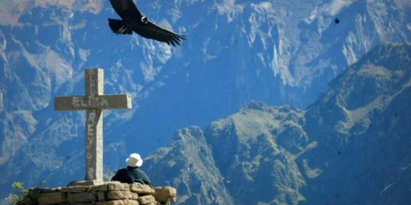 Arequipa: Excursion to the Colca Canyon ending in Puno - Key Points