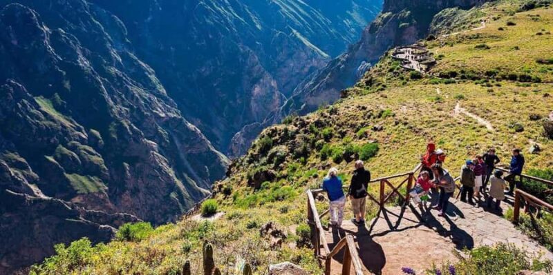 Arequipa: Excursion to the Colca Canyon ending in Puno - Who Would Love This Tour?