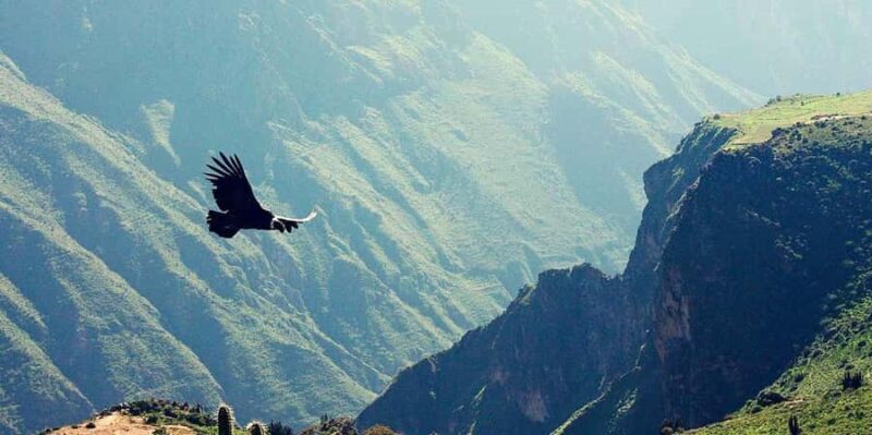 Arequipa: Excursion to the Colca Canyon ending in Puno - Final Thoughts: Is This Tour Worth It?