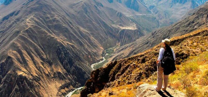 Arequipa: Full Day Colca Canyon Tour with transfer to Puno - What Could Be Better?