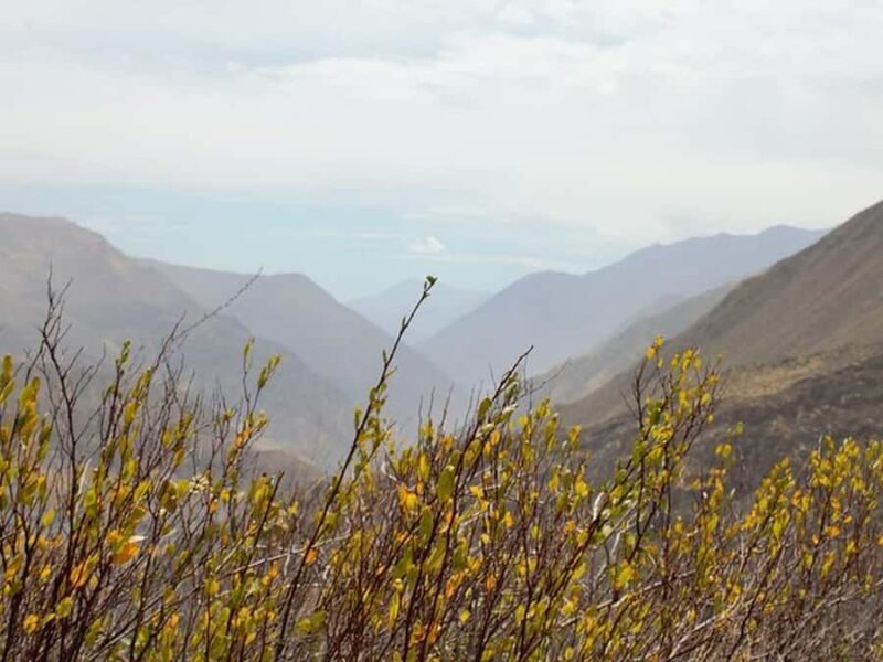 Arequipa: Huaruro Waterfall & Colca Canyon Trekking - 4 Days - Who Should Consider This Tour?