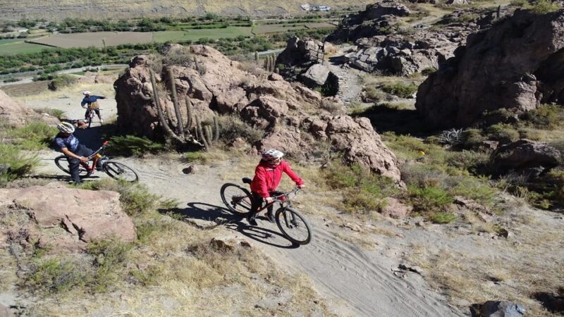 Arequipa: Las Rocas Park and Chilina Valley Bike Tour - Return to Arequipa