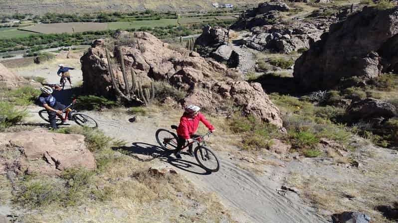 Arequipa: Las Rocas Park and Chilina Valley Bike Tour - Value and Practicalities