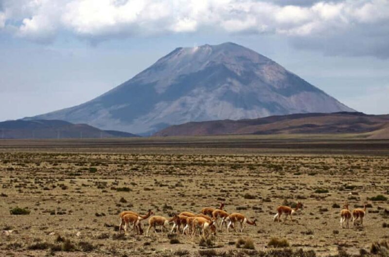 Arequipa: Pillones Waterfalls and Bosque de Piedras + Breakfast Included - Authentic Experiences and Tips