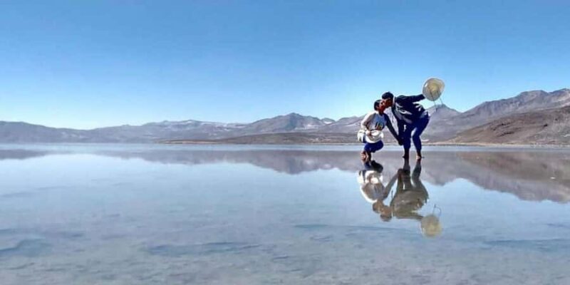 Arequipa: Salinas Reserve and Aguada Blanca-Lojen Volcano - Practical Insights: What Does It All Mean for You?