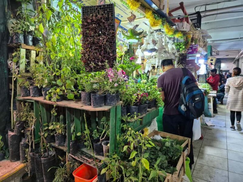 Arequipa: San Camilo Market Tour - FAQ