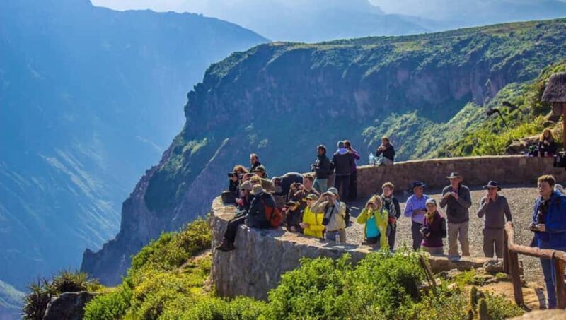 Arequipa:Full day tour to Colca Canyon with transfer to Puno - A Detailed Look at the Tour Experience