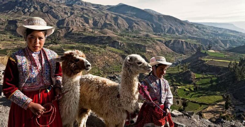 Arequipa:Full-day tour to Colca Canyon with transfer to Puno - Arequipa: Full-day Tour to Colca Canyon with Transfer to Puno