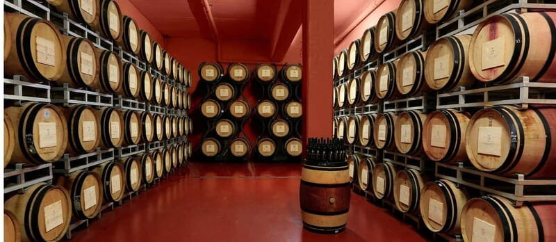 Arezzo Experience: Winery Tour and Wine Tasting - Authenticity, Education, and Enjoyment