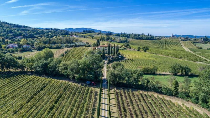 Arezzo Experience: Winery Tour and Wine Tasting - Who Should Consider This Tour?