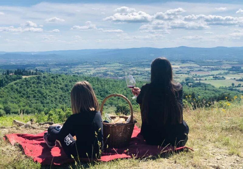 Arezzo: Tuscan Vineyard Picnic with Wine and Local Food - Who is This Experience Best For?