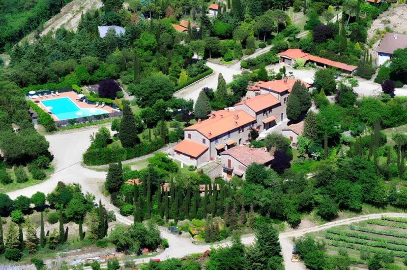 Arezzo: Tuscan Vineyard Picnic with Wine and Local Food - In The Sum Up