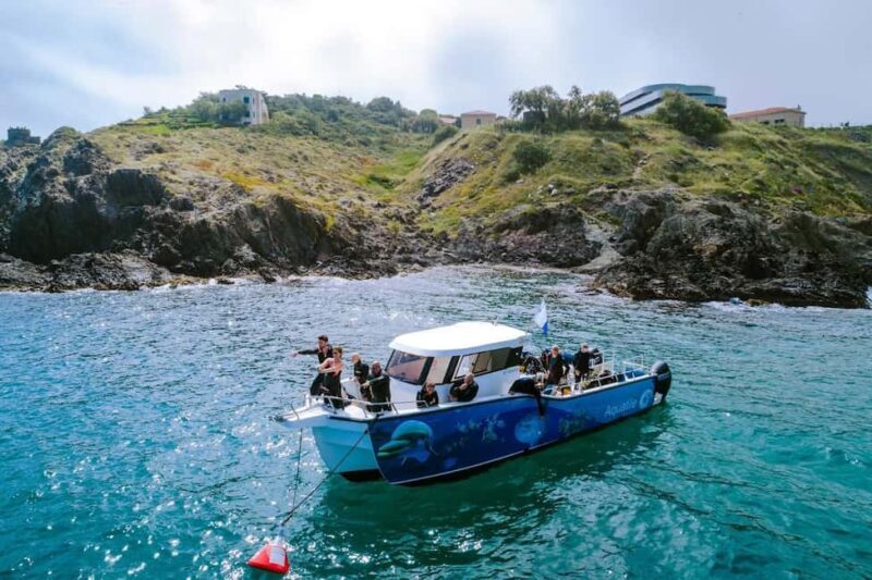 Argelès-sur-Mer : first dive in the Marine Natural Park - Key Points