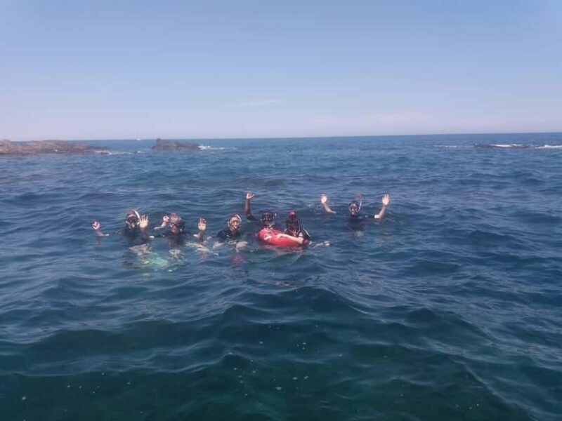Argelès-sur-Mer: snorkeling into the Marine Natural Park - A Detailed Look at the Snorkeling Tour Experience