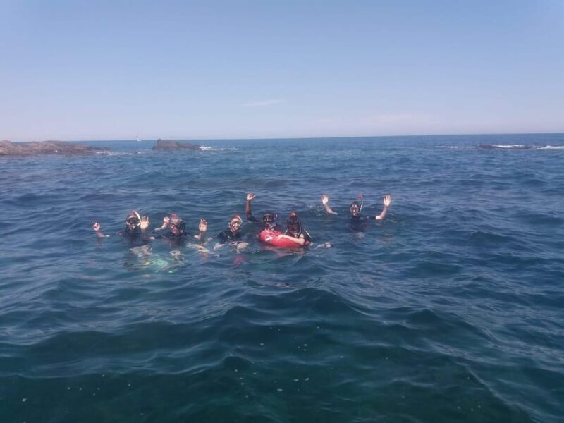 Argelès-sur-Mer: snorkeling into the Marine Natural Park - The Sum Up