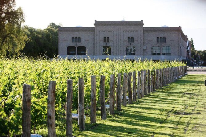 Argentine BBQ Experience and Winery Visits.Transfer included - In-Depth Look at the Experience