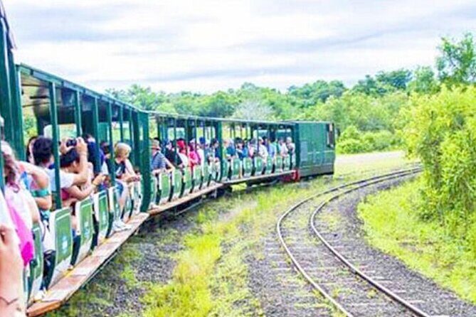 Argentine & Brazil Falls Full-day Private Tour with Tickets - Practical Considerations