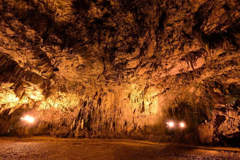 Argostoli: Shore Excursion to Caves with Local Wine Tasting - Wrapping Up