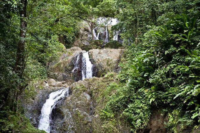 Argyle Waterfall with Adventure Farm - Discover Tobago’s Natural Treasures: Argyle Waterfall with Adventure Farm