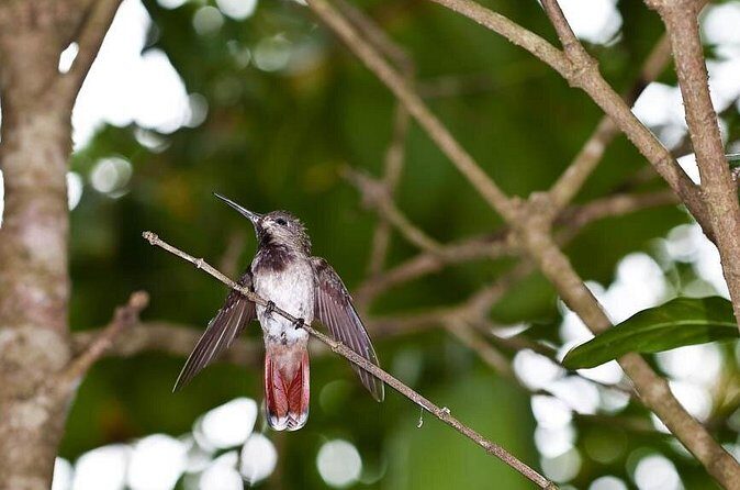 Argyle Waterfall with Adventure Farm - The Sum Up