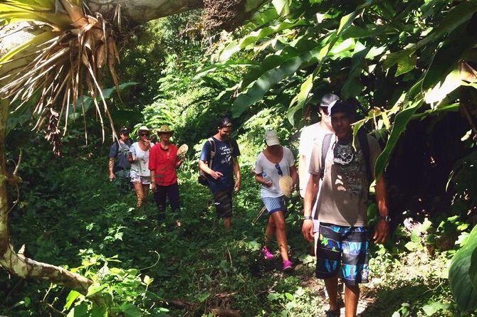 Argyle Waterfall with Adventure Farm - FAQ