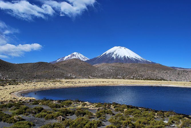 Arica: Full day to Lauca National Park and Chungara Lake, meals included - Exploring the Wonders of Lauca and Chungara: A Full-Day Tour from Arica