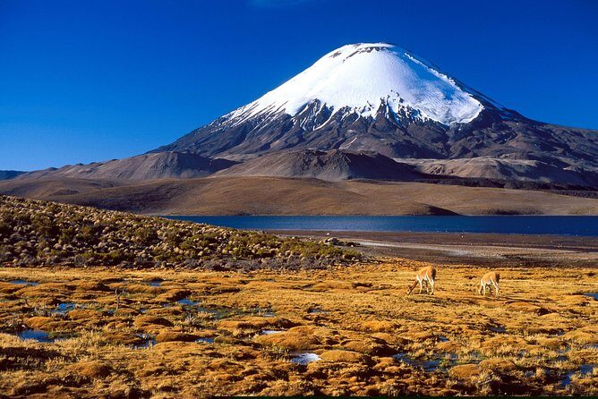 Arica: Full day to Lauca National Park and Chungara Lake, meals included - FAQ