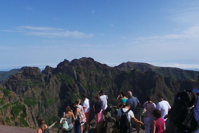 Arieiro Peak and Cristo Rei 4x4 Experience + Dolphins Watching - Frequently Asked Questions