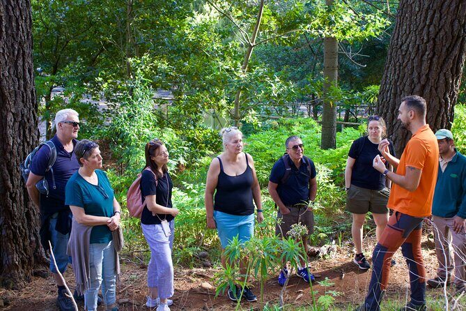 Arieiro Peak, Balcoes Viewpoint, Santana & Ponta De Sao Lourenço - Practical Details and What to Expect