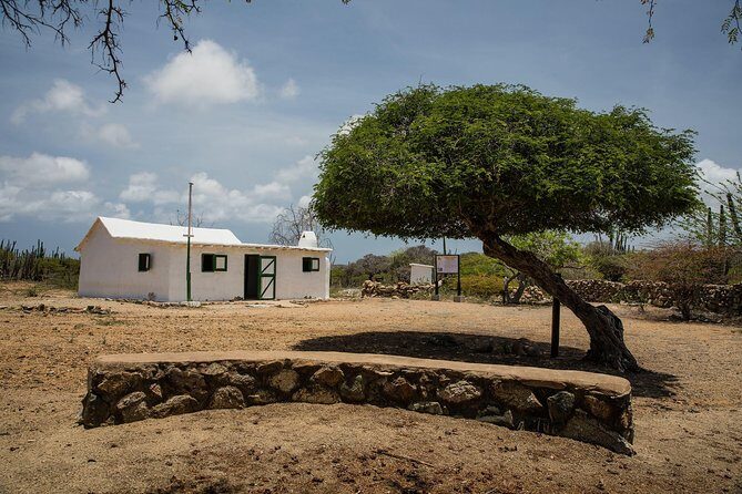 Arikok Adventurous Hiking Experience in Aruba - The Value of Guided Interpretation