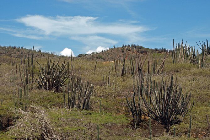 Arikok Adventurous Hiking Experience in Aruba - The Food and Drink Element