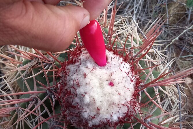 Arikok Sunrise Hiking Tour to Natural Pool + Transportation - The Value of the Experience