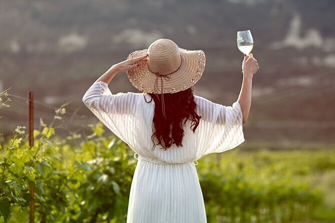 ARISMARI  Vineyard Tour & Wine Tasting - A Detailed Look at the ARISMARI Vineyard Tour & Wine Tasting