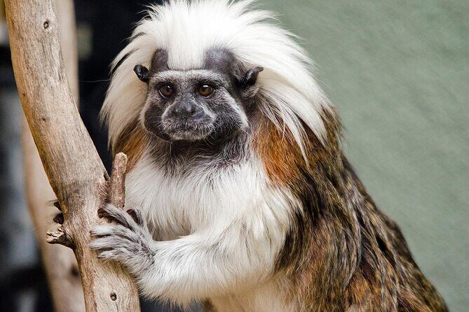 Arizona E-Bike Rentals - Key Points