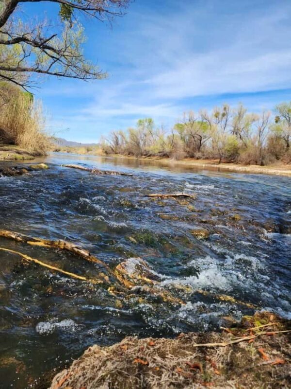 Arizona: Great Western Trail Jeep Tour at Rio Verde - Key Points