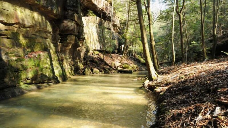 Arizona: Great Western Trail Jeep Tour at Rio Verde - Frequently Asked Questions